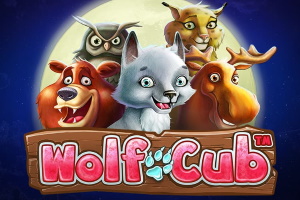 Wolf Cub